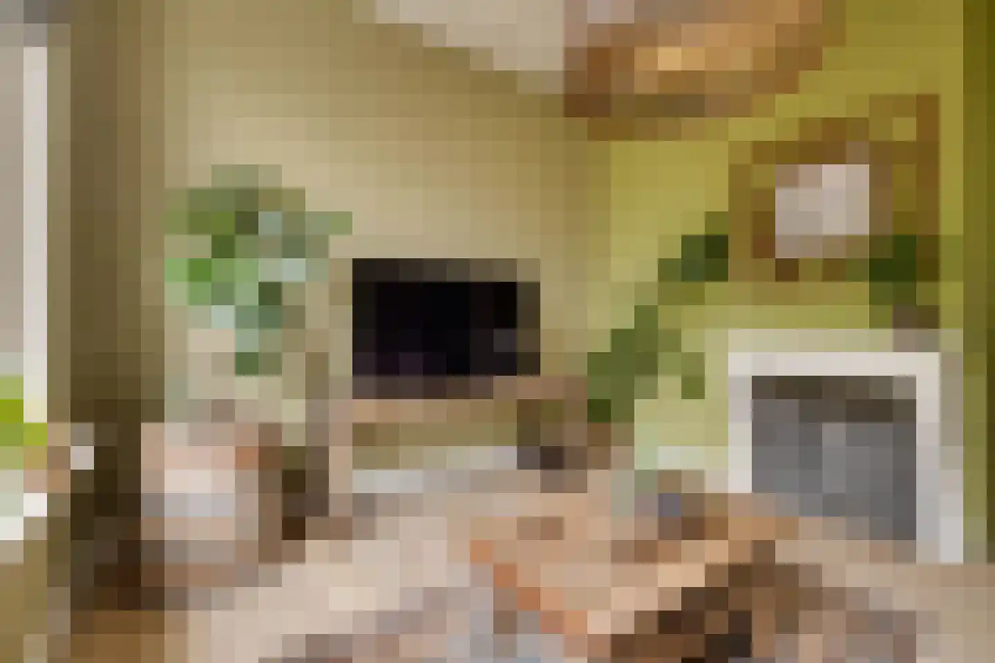 Trompstraat 22 Apeldoorn thumbnail 5