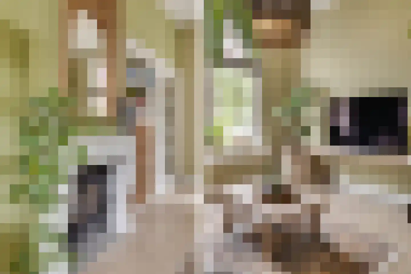 Trompstraat 22 Apeldoorn thumbnail 7