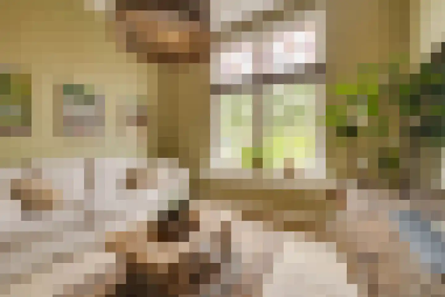 Trompstraat 22 Apeldoorn thumbnail 8