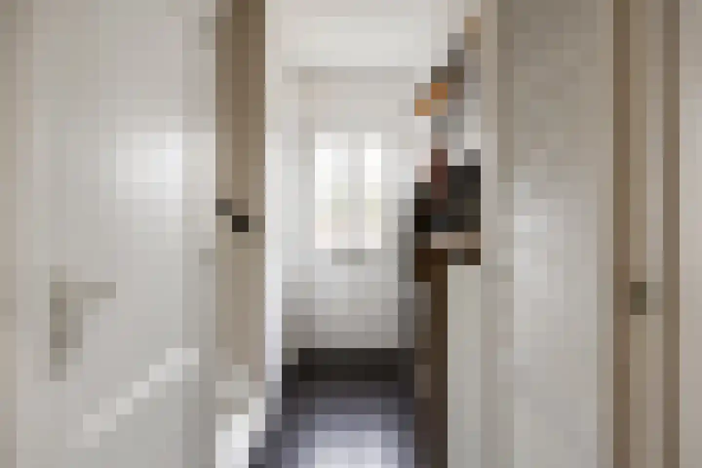 Trompstraat 22 Bedum thumbnail 17