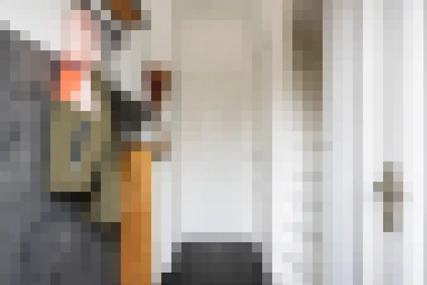 Trompstraat 22 Bedum thumbnail 18