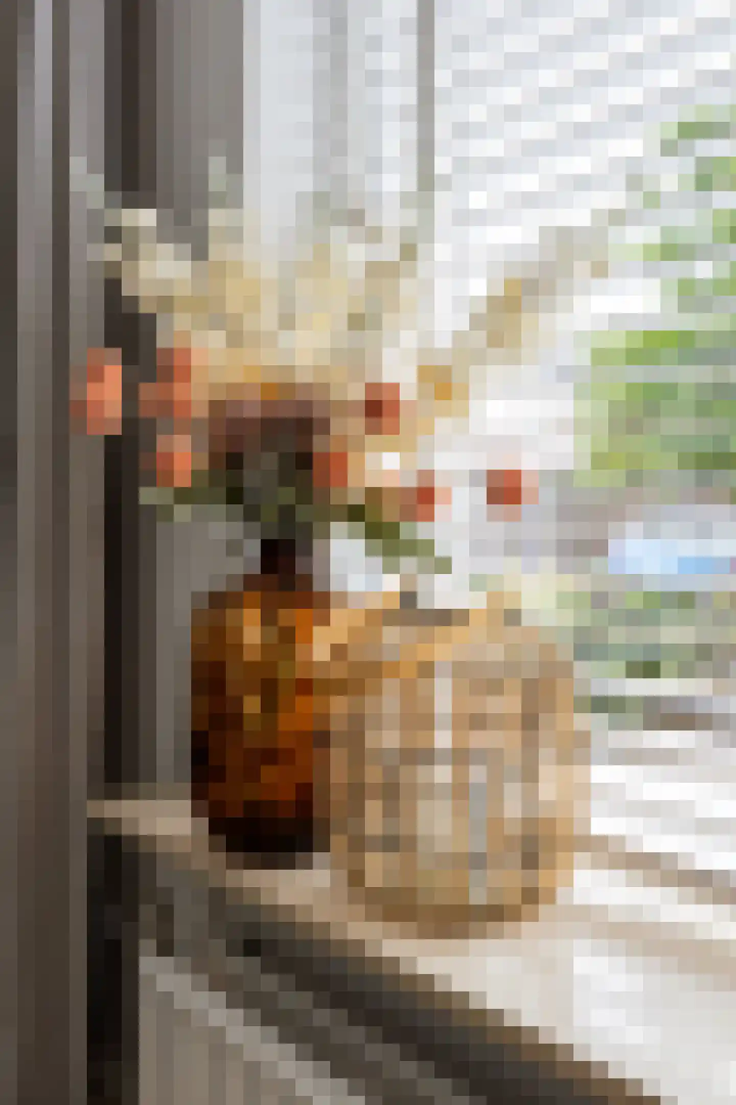 Trompstraat 22 Bedum thumbnail 23