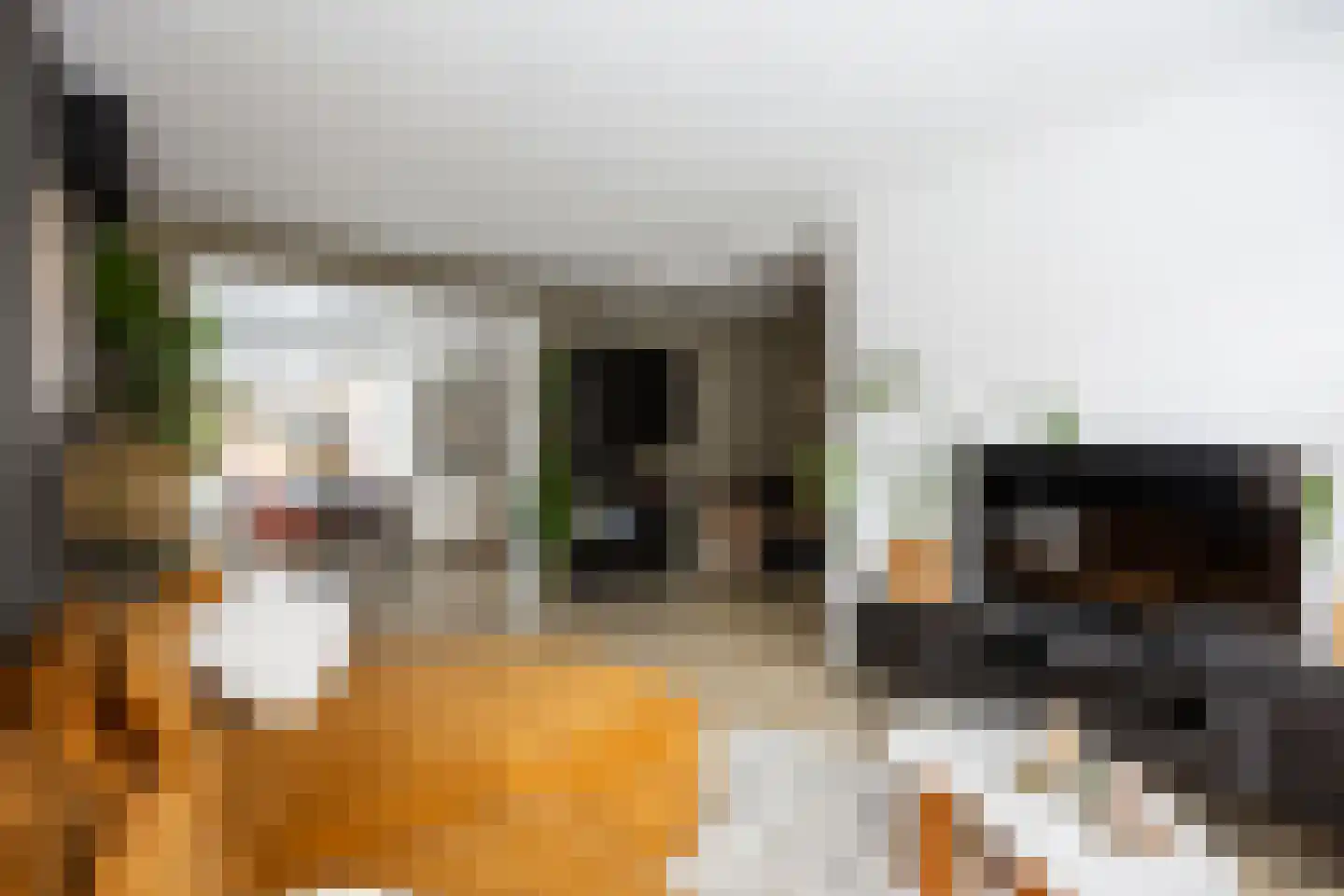 Trompstraat 22 Bedum thumbnail 24
