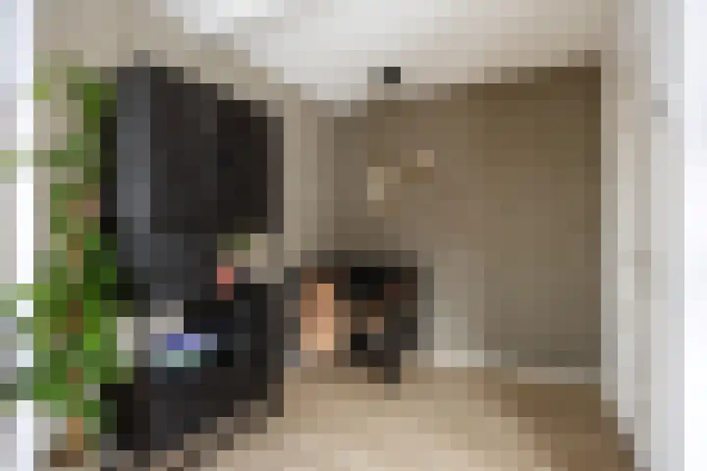 Trompstraat 22 Bedum thumbnail 25