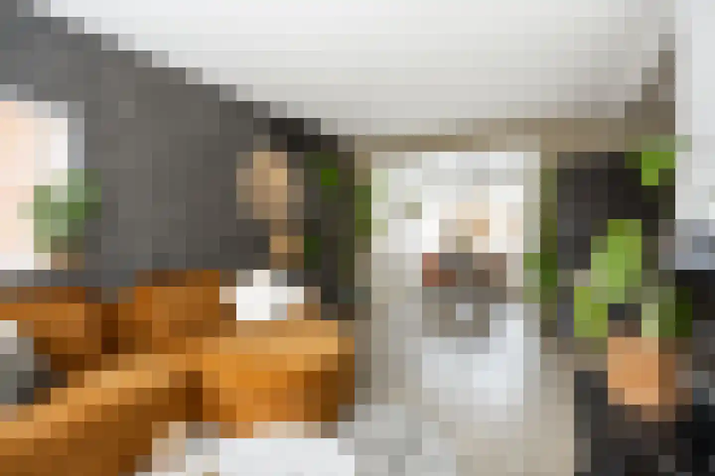 Trompstraat 22 Bedum thumbnail 26