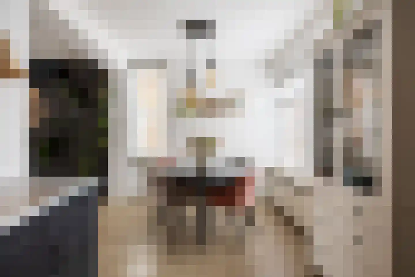 Trompstraat 22 Bedum thumbnail 31