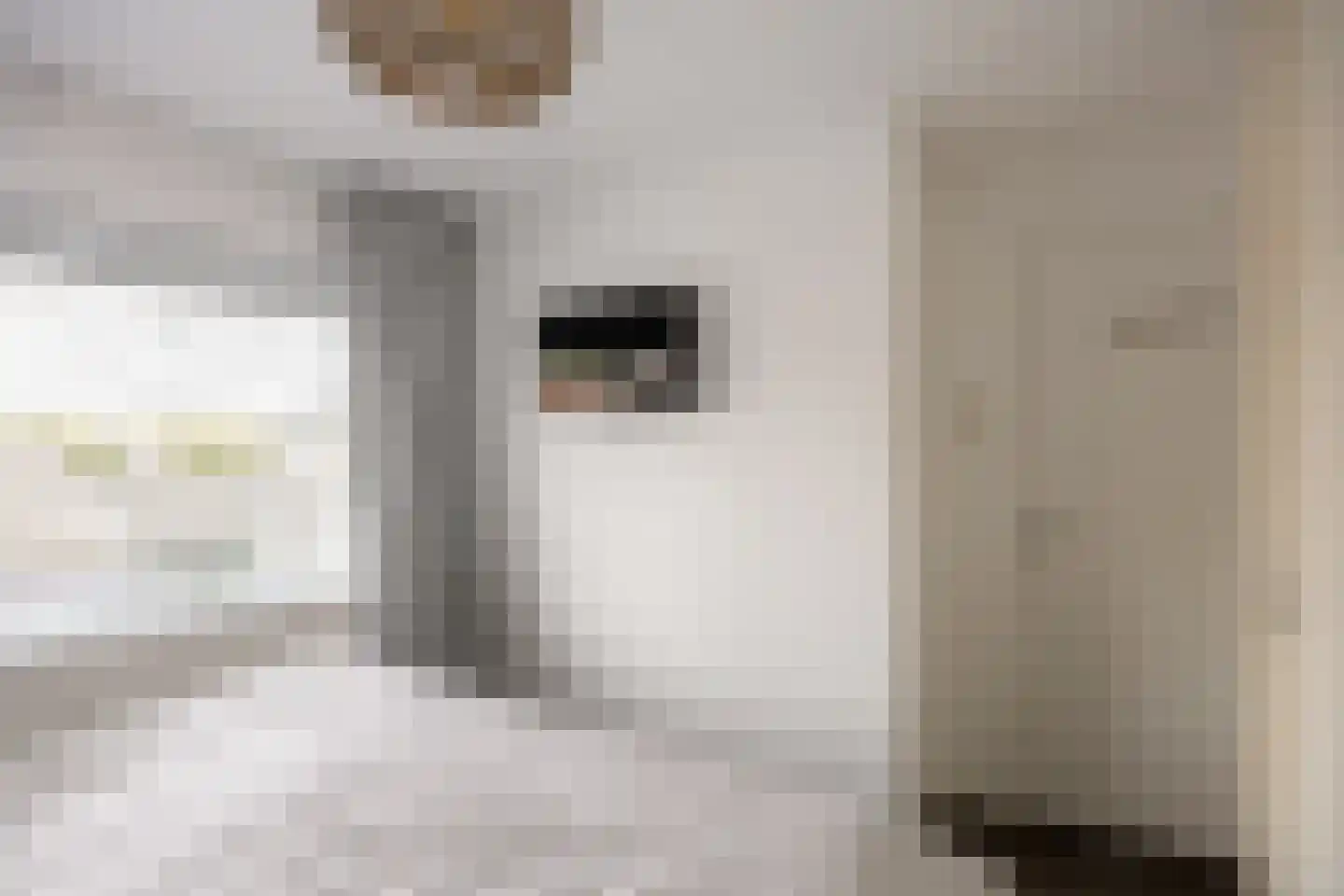 Trompstraat 22 Bedum thumbnail 39