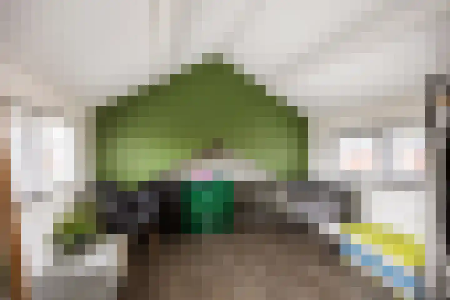 Trompstraat 22 Bedum thumbnail 47