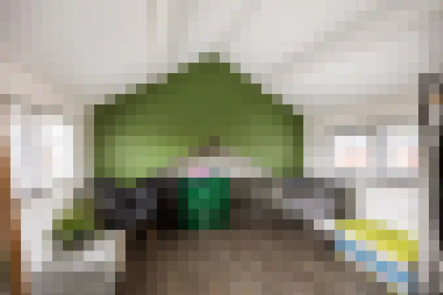 Trompstraat 22 Bedum thumbnail 9