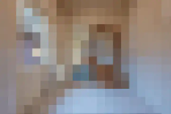 Trompstraat 22 Druten thumbnail 15