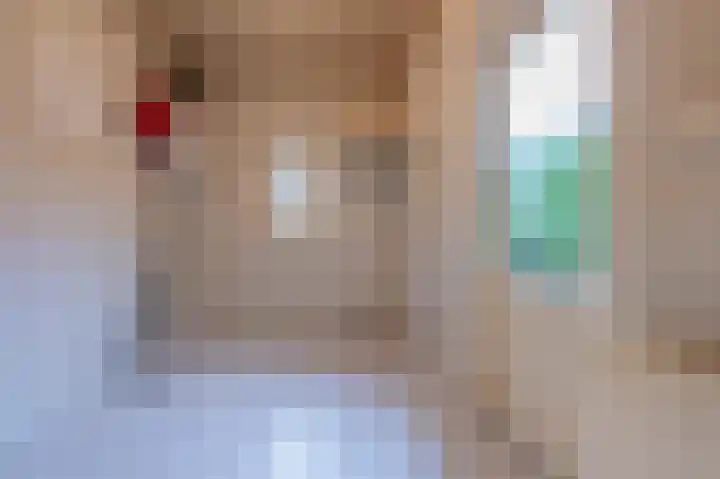 Trompstraat 22 Druten thumbnail 17