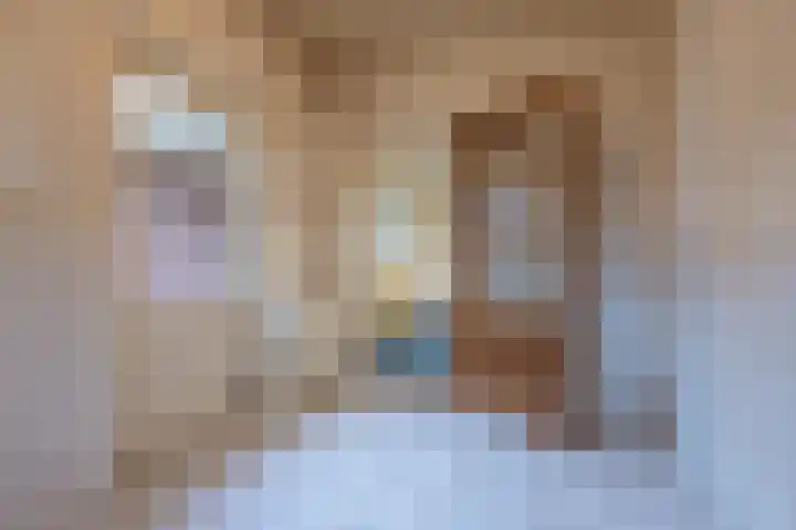 Trompstraat 22 Druten thumbnail 18