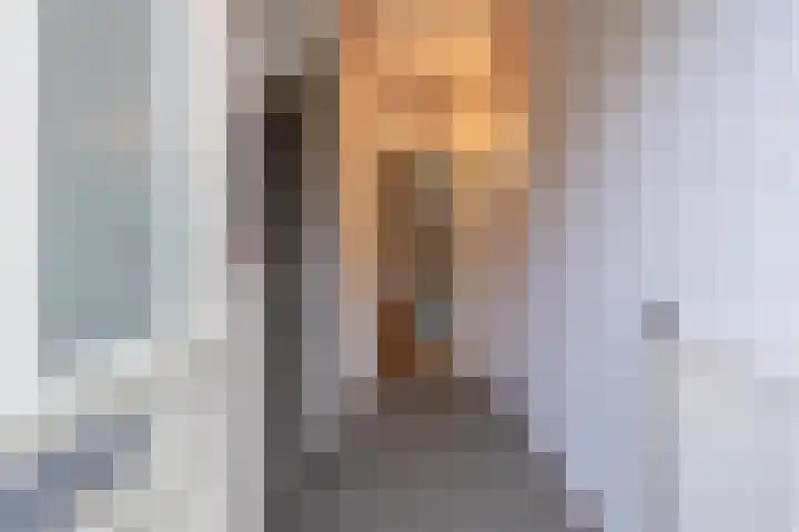 Trompstraat 22 Druten thumbnail 20