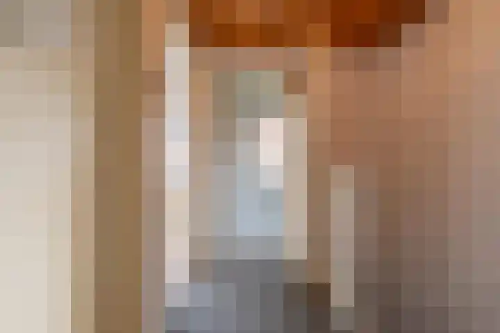 Trompstraat 22 Druten thumbnail 23