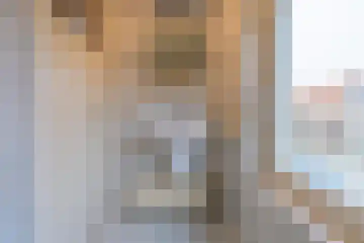 Trompstraat 22 Druten thumbnail 24