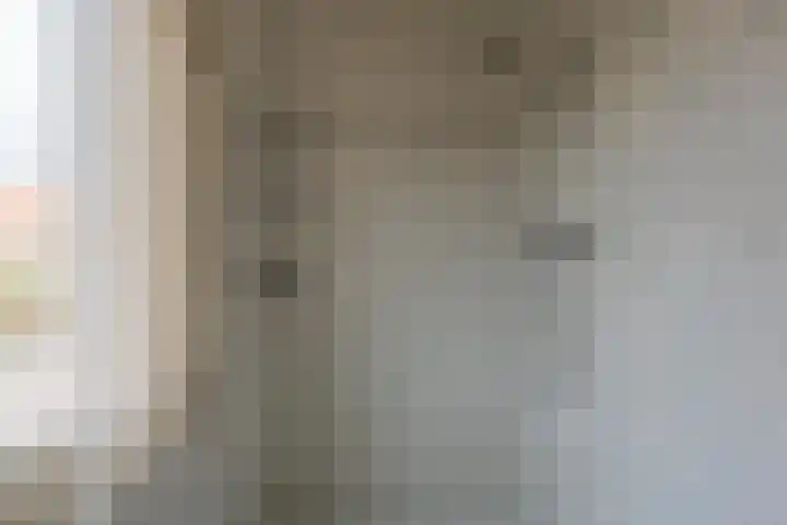 Trompstraat 22 Druten thumbnail 25