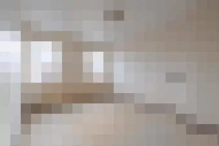 Trompstraat 22 Druten thumbnail 27
