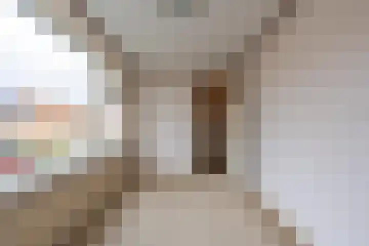 Trompstraat 22 Druten thumbnail 28