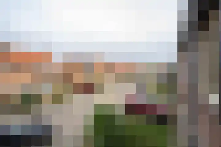 Trompstraat 22 Druten thumbnail 29