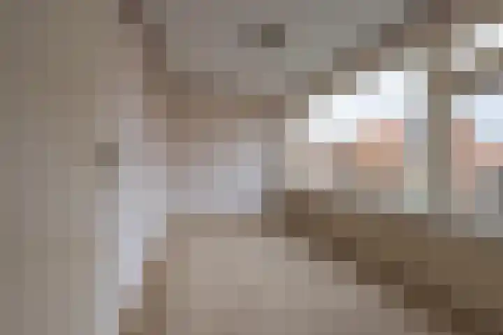 Trompstraat 22 Druten thumbnail 30