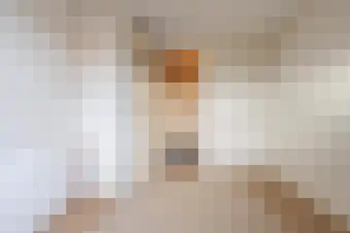 Trompstraat 22 Druten thumbnail 31