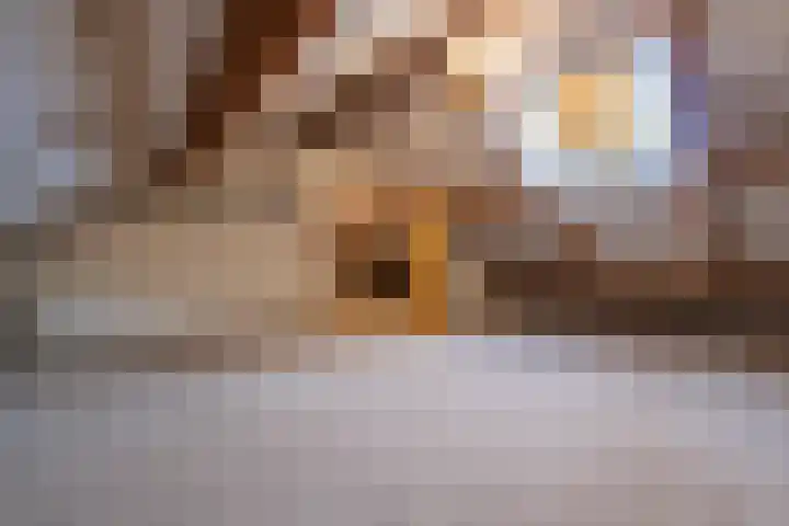 Trompstraat 22 Druten thumbnail 35