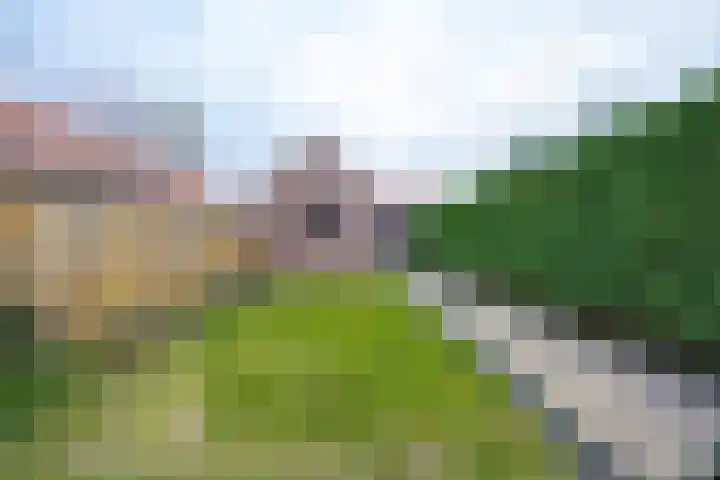 Trompstraat 22 Druten thumbnail 38