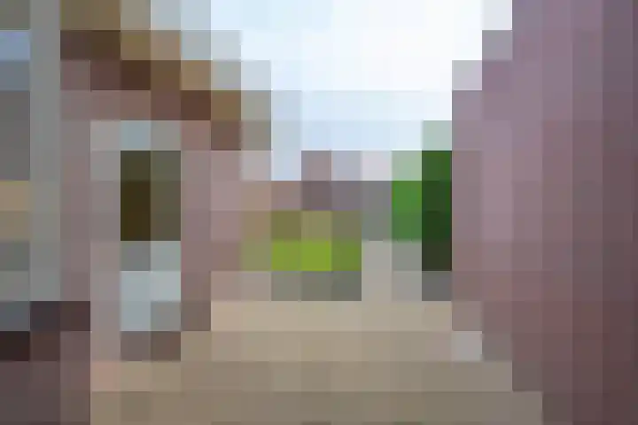 Trompstraat 22 Druten thumbnail 39