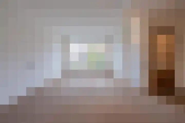 Trompstraat 22 Druten thumbnail 4