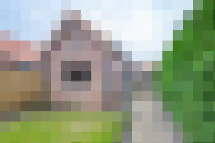 Trompstraat 22 Druten thumbnail 40