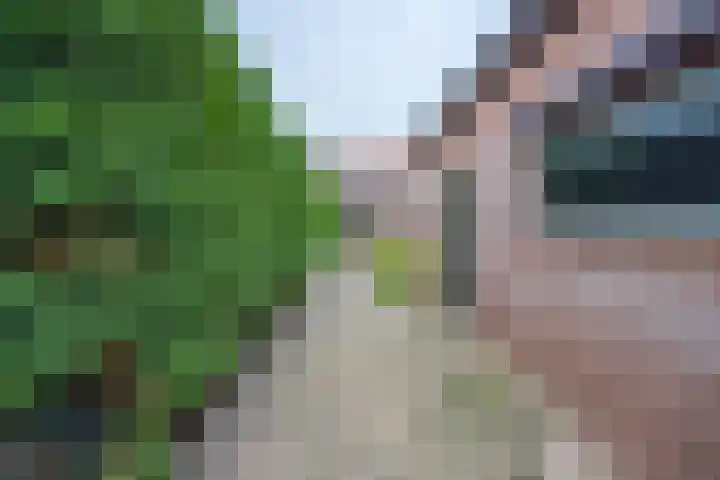 Trompstraat 22 Druten thumbnail 41