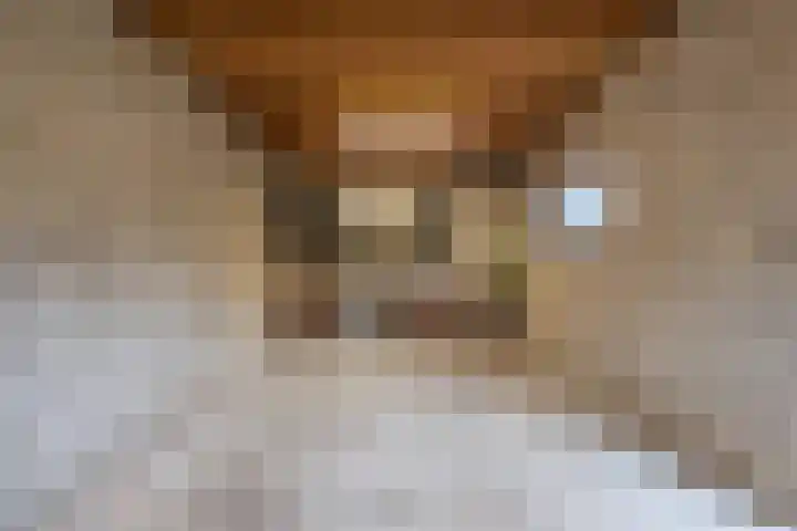 Trompstraat 22 Druten thumbnail 43