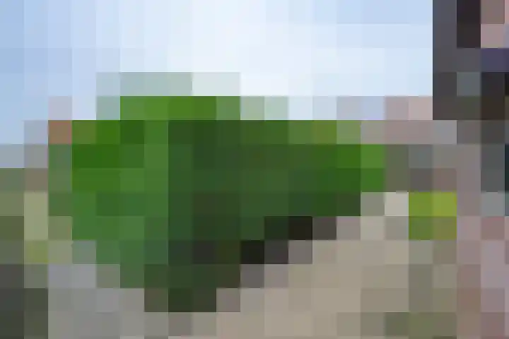 Trompstraat 22 Druten thumbnail 45