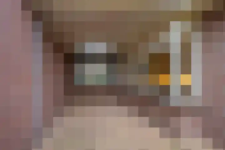 Trompstraat 22 Druten thumbnail 49
