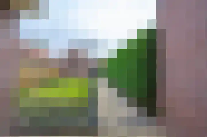 Trompstraat 22 Druten thumbnail 51