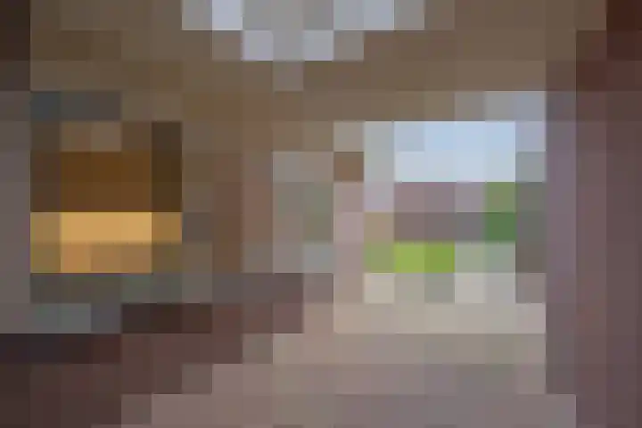 Trompstraat 22 Druten thumbnail 52