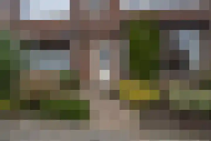 Trompstraat 22 Druten thumbnail 54
