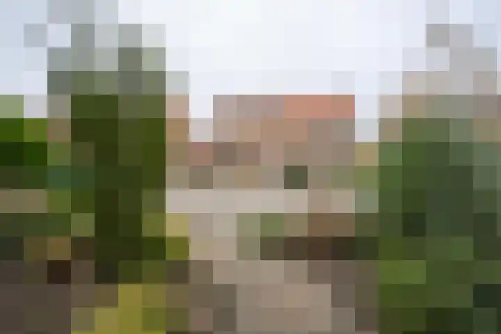 Trompstraat 22 Druten thumbnail 56