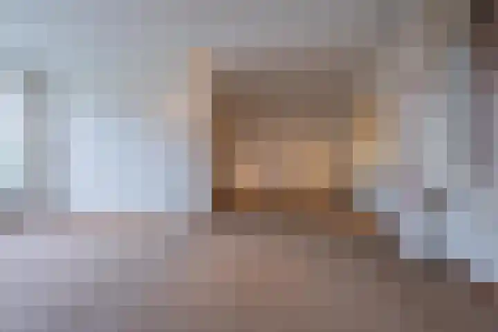 Trompstraat 22 Druten thumbnail 6