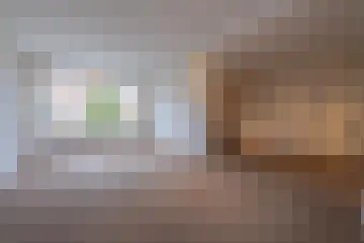 Trompstraat 22 Druten thumbnail 8