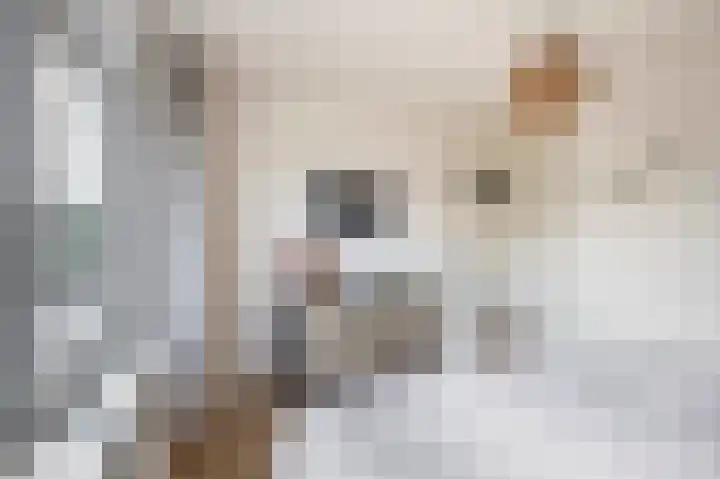 Trompstraat 22 Lisse thumbnail 18