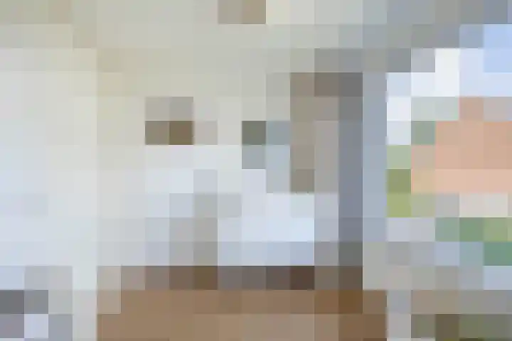 Trompstraat 22 Lisse thumbnail 20