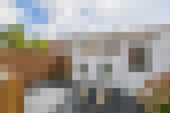 Trompstraat 22 Lisse thumbnail 30