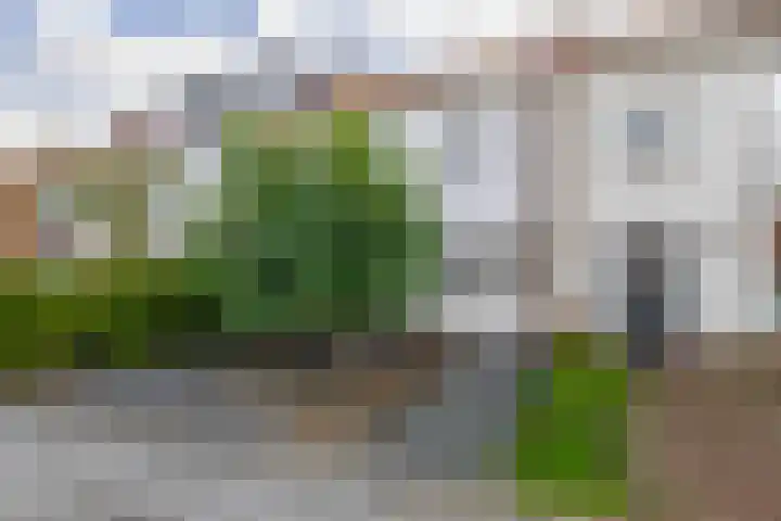 Trompstraat 22 Lisse thumbnail 34