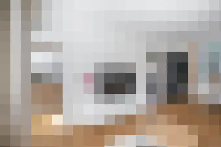 Trompstraat 22 Lisse thumbnail 8