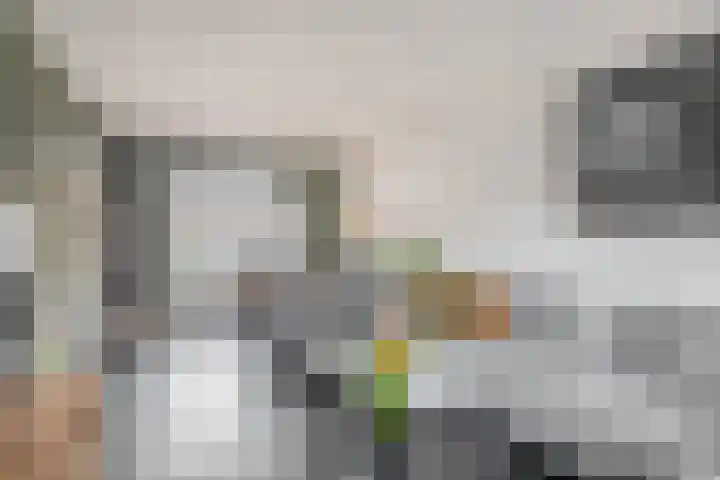 Trompstraat 22 Rozenburg thumbnail 12