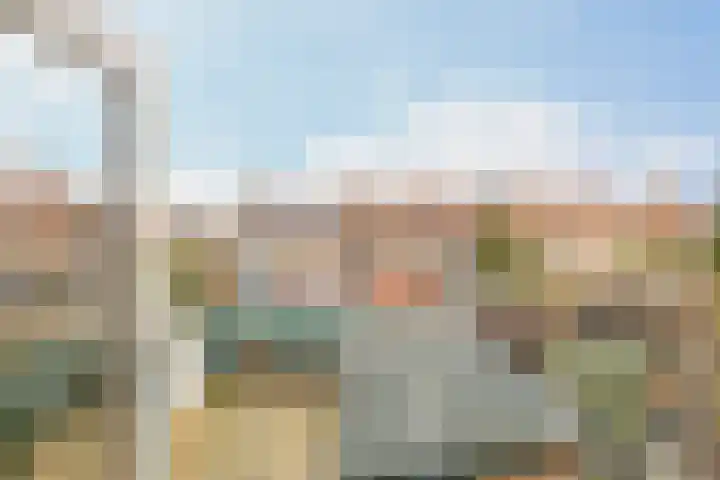 Trompstraat 22 Rozenburg thumbnail 25
