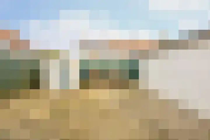 Trompstraat 22 Rozenburg thumbnail 28