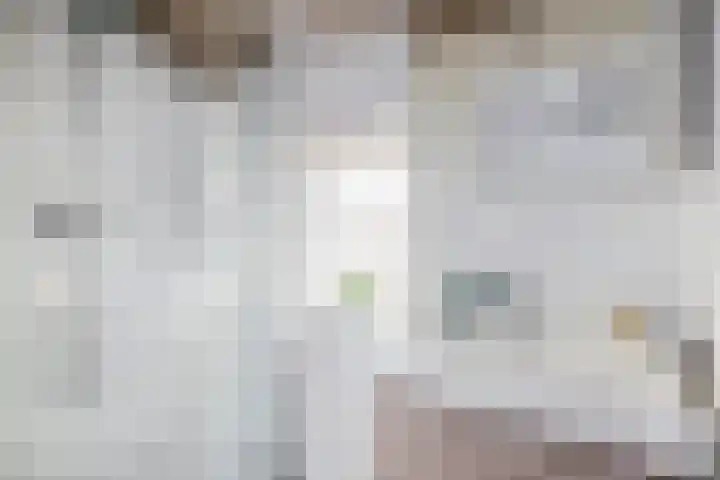 Trompstraat 22 Rozenburg thumbnail 4