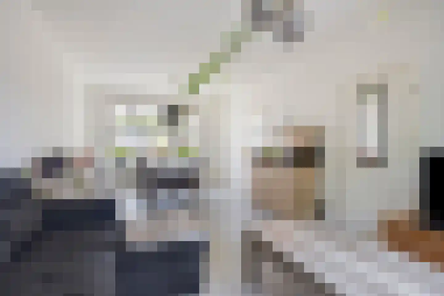 Trompstraat 22 Son en Breugel thumbnail 10